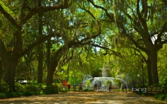 ForsythPark1920x12008-1-2012 12_39_12 PM Bing Desktop